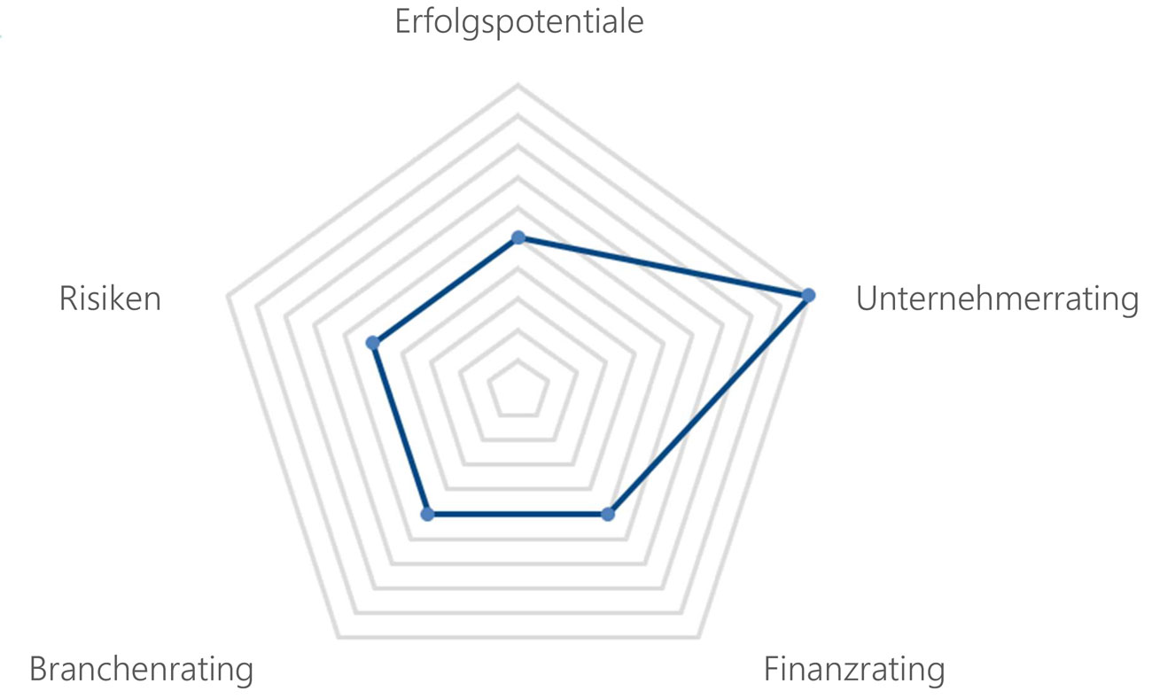 Rating-Kategorien Rating-Kategorien: Erfolgspotentiale, Unternehmerrating, Finanzrating, Branchenrating, Risiken